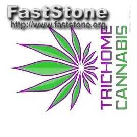 Rainbow Logo Design Vector Free Download